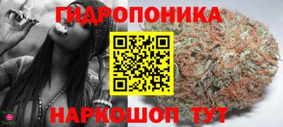 мяу мяу мука Татарск
