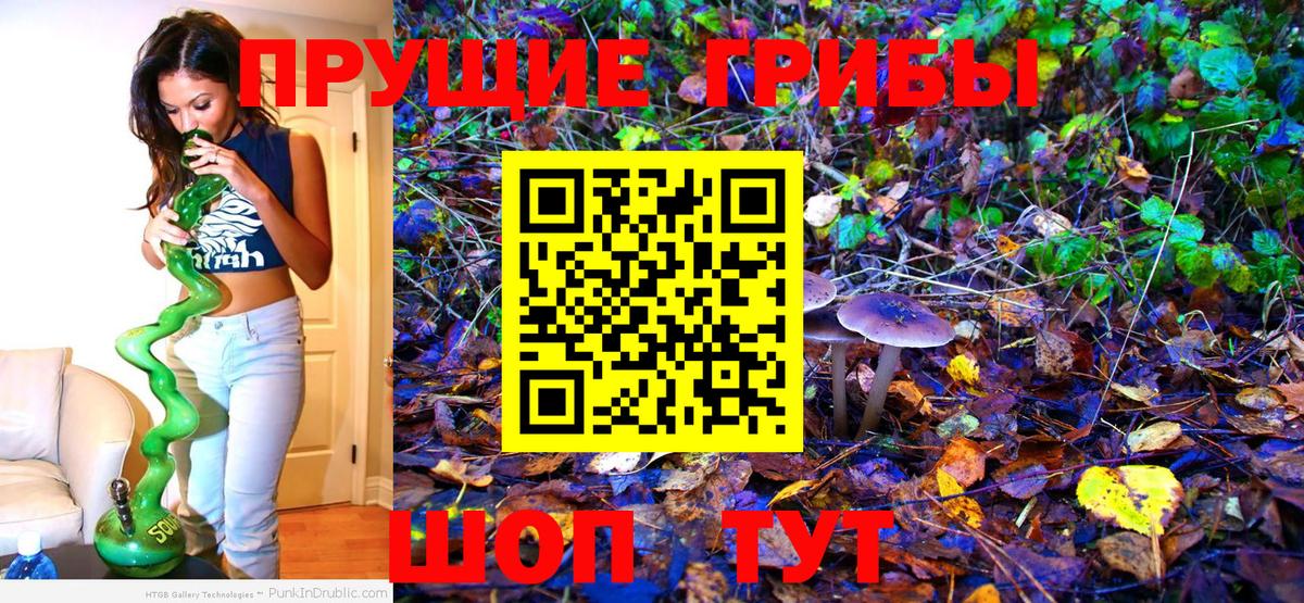 Галлюциногенные грибы Psilocybine cubensis  Вход с VPN  Майский 